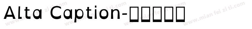 Alta Caption字体转换